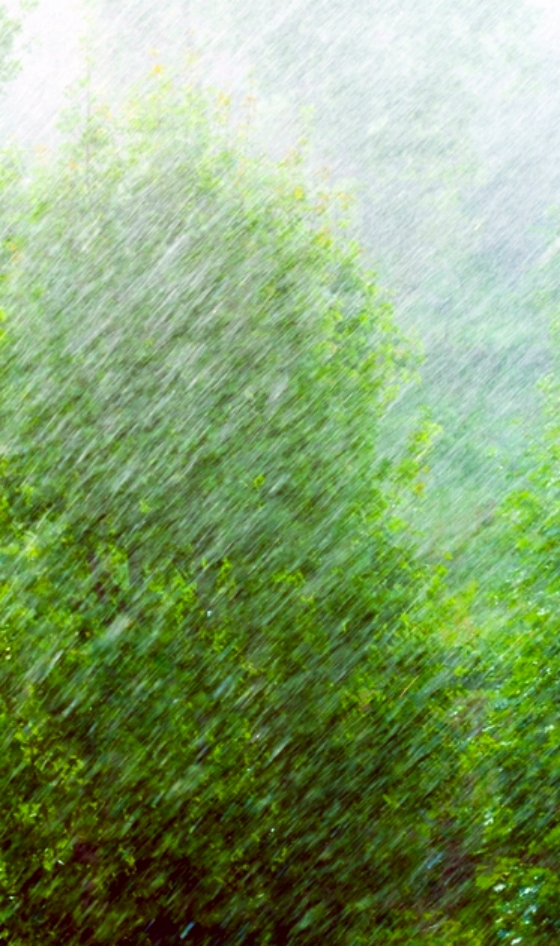 【天涯】山雨   〔外一首〕