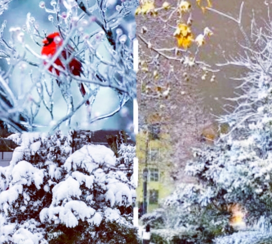 【天涯】當(dāng)雪花節(jié)氣遇上古詩(shī)〔散文〕