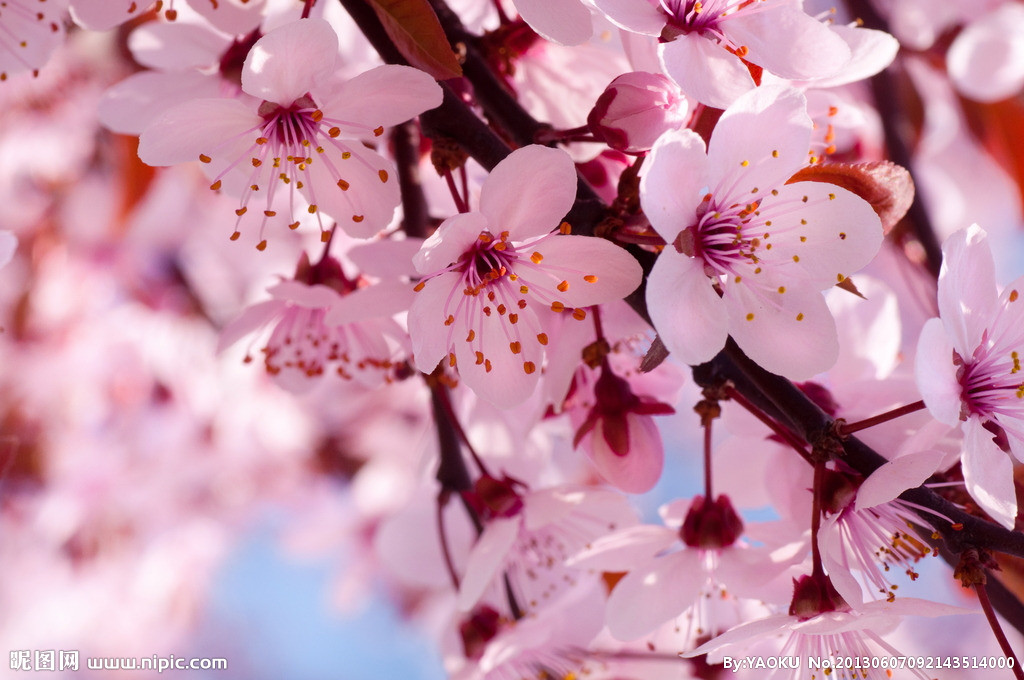 【丁香花開】四月，在塵世里拾取幸福（散文）