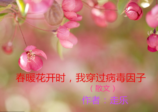 【八一】春暖花開(kāi)時(shí)，我穿過(guò)病毒因子（散文）