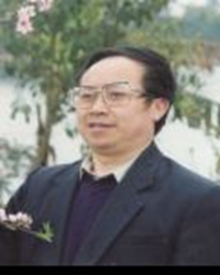 【十年江山情】江山的五年，我樂在其中（散文）