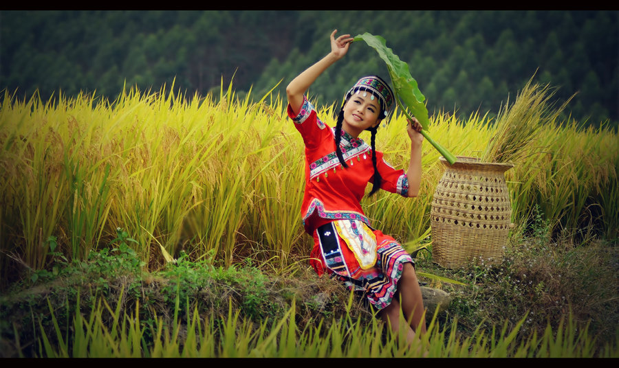 【丁香?祝福祖國】難忘年年稻花香(散文)