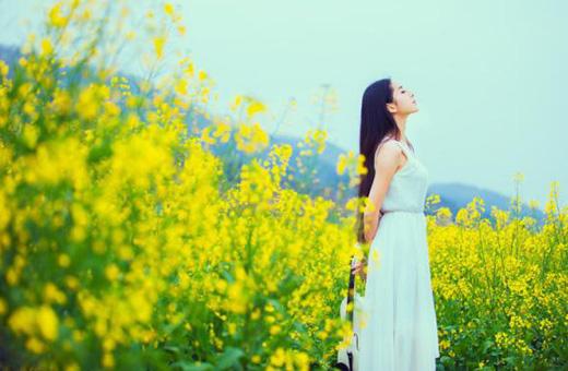 【桃源】時(shí)光作葉，夢(mèng)想成花（散文）