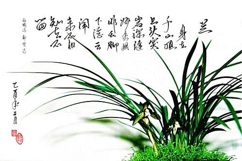 【天涯】浣心輕吟（詩(shī)歌）