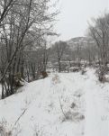 【時光】戊戌年的第一場雪，把初吻給了故鄉(xiāng)(組詩)