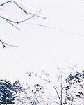 【荷塘“PK大獎(jiǎng)賽”】等待一場雪（外一首）