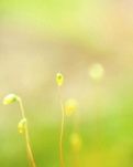 【時(shí)光】人間最美四月天，人生四月是少年（散文）