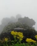 【看點】星星還在，只此一眼便重回江湖(散文）