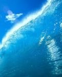 【柳岸】海與自由（詩歌）