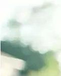 【輕舞】一場花事，美到深處不自知(詩歌)