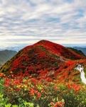 【星月】丹寨，閃耀在大山深處的一顆明珠（散文）
