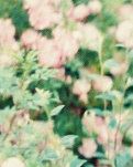 【八一】扶貧路上，沾滿花香（詩歌）
