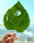 【江山·耕耘】【神舟】文學(xué)，她人生中的催化劑（散文）