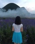 【千村】古文   紅塵過客，誰是知音