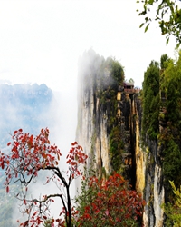 【賞析】鞠躬盡瘁愛江山，碧血丹心揚(yáng)英名