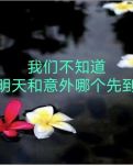 【柳岸】茶語（詩歌/外一首）