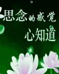 【柳岸·?！慨?dāng)思念成了習(xí)慣（組詩(shī)）