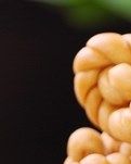 【西風(fēng)】麻花情緣（散文）