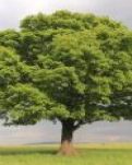 【萌芽】煙臺的秋，我的夢與遠方（散文）