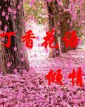 【丁香·希望】被我拉黑的社長(zhǎng)（散文）