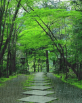 【曉荷·煙火】當時正年少，無邊絲雨不知愁（散文）