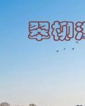 【心靈】翠柳湖迷案（小說）