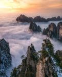 【星月】你是人間四月天(七律六首）