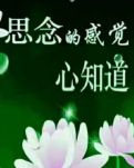 【柳岸】初夏又憶親人心（散文）