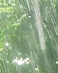 【綠野·夏】我們是被有風(fēng)的詩和會雨的遠方一起期待（詩歌）