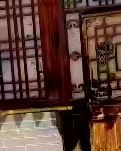 【江山·見(jiàn)證】【流年】夏日拾貝六帖（散文）