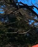 【江山·見證】【心靈】走進香山雙清別墅（散文）