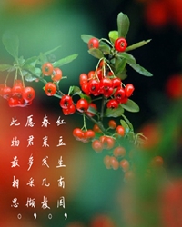 兩地相思，紅豆紅（外二章）