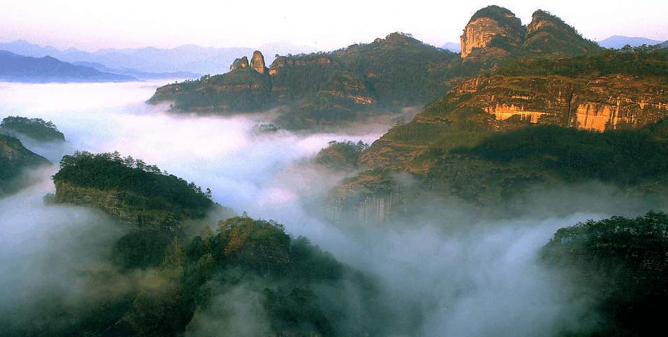 【鳳凰?舞】武夷山之旅——叩問山水，茶中情（散文）