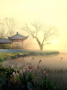 【書香·玉】鵝黃淺綠風破曉，輕描淡寫最相宜（賞析）
