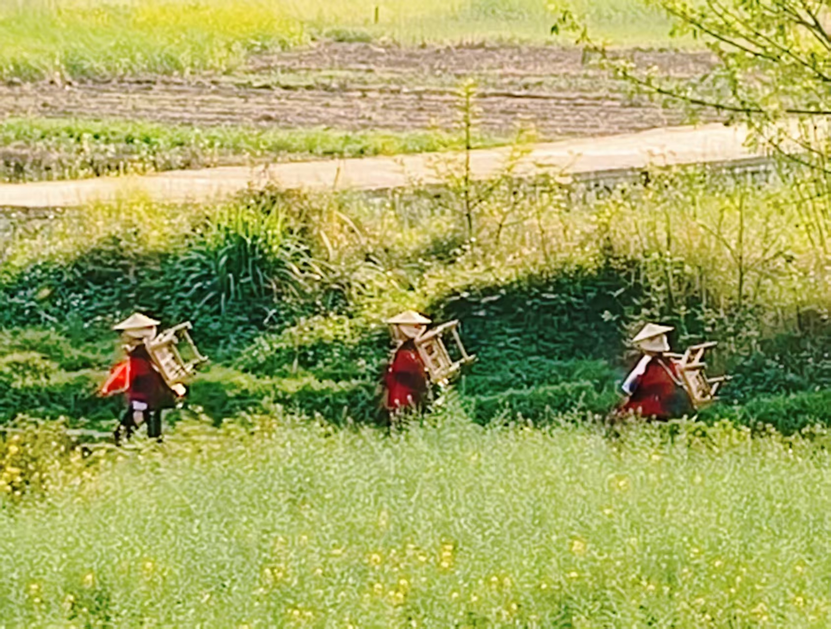 【江山·見(jiàn)證】【寧?kù)o】尋夢(mèng)壩美（散文）