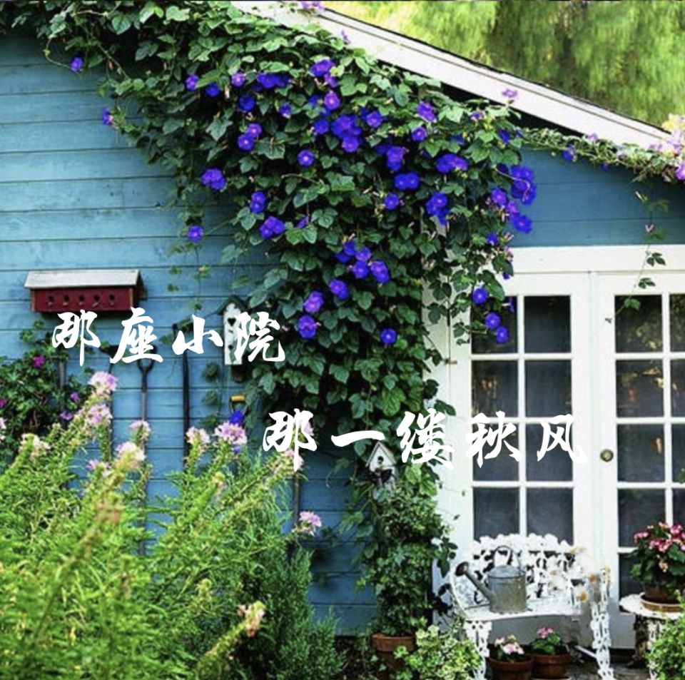 【時(shí)光】那座小院，那縷秋風(fēng)（散文）