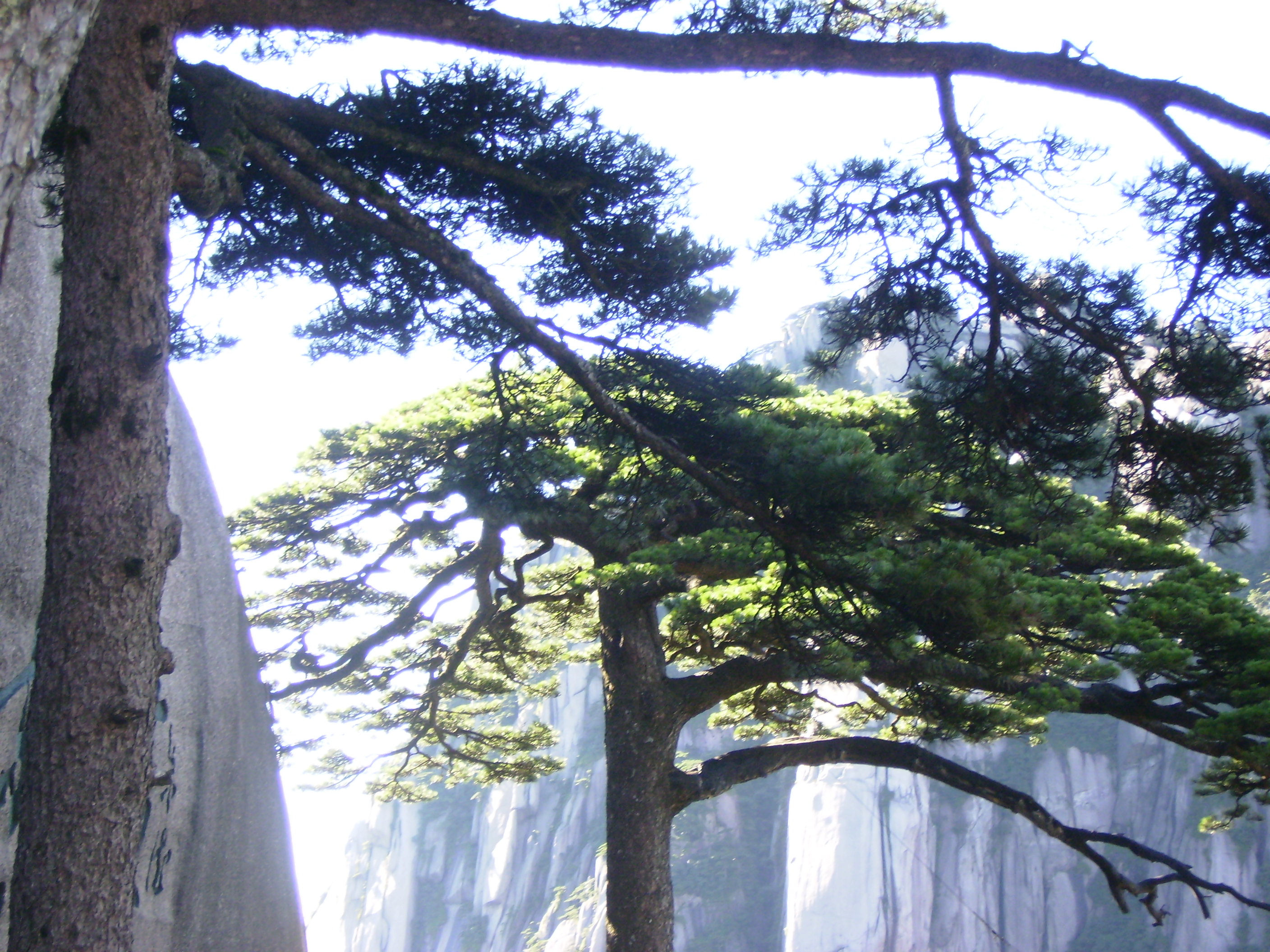【西風(fēng)】林芝，赴一場(chǎng)落日盛宴（散文）