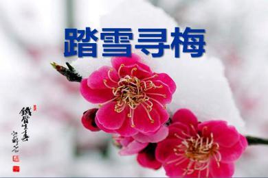 【軍警】落雪，有詩(shī)有襲（詩(shī)歌）