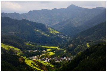 【酒家】擇一處寧?kù)o ，揣一懷素心（散文）