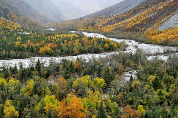 【星月行走】秋聲里，陽(yáng)光掠過(guò)陣地（組詩(shī)）