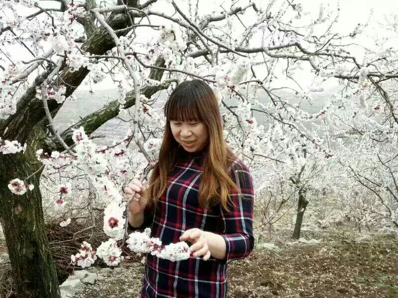 【天涯】杏開荼蘼，活色生香第一流（散文）