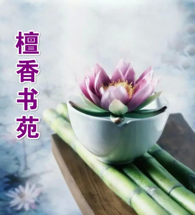 【檀香.某人杯】與婆婆相處（散文 征文）