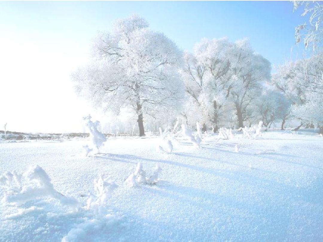 【丹楓】飄飛的雪花（詩(shī)歌）