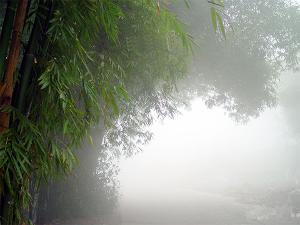 【八一】霧（微小說(shuō)）