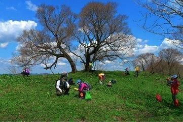 【星月】三月春雨足，呼兒競(jìng)采擷（散文）