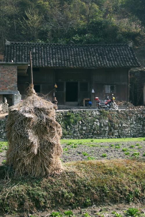 【酒家】往南，去外婆家（散文）