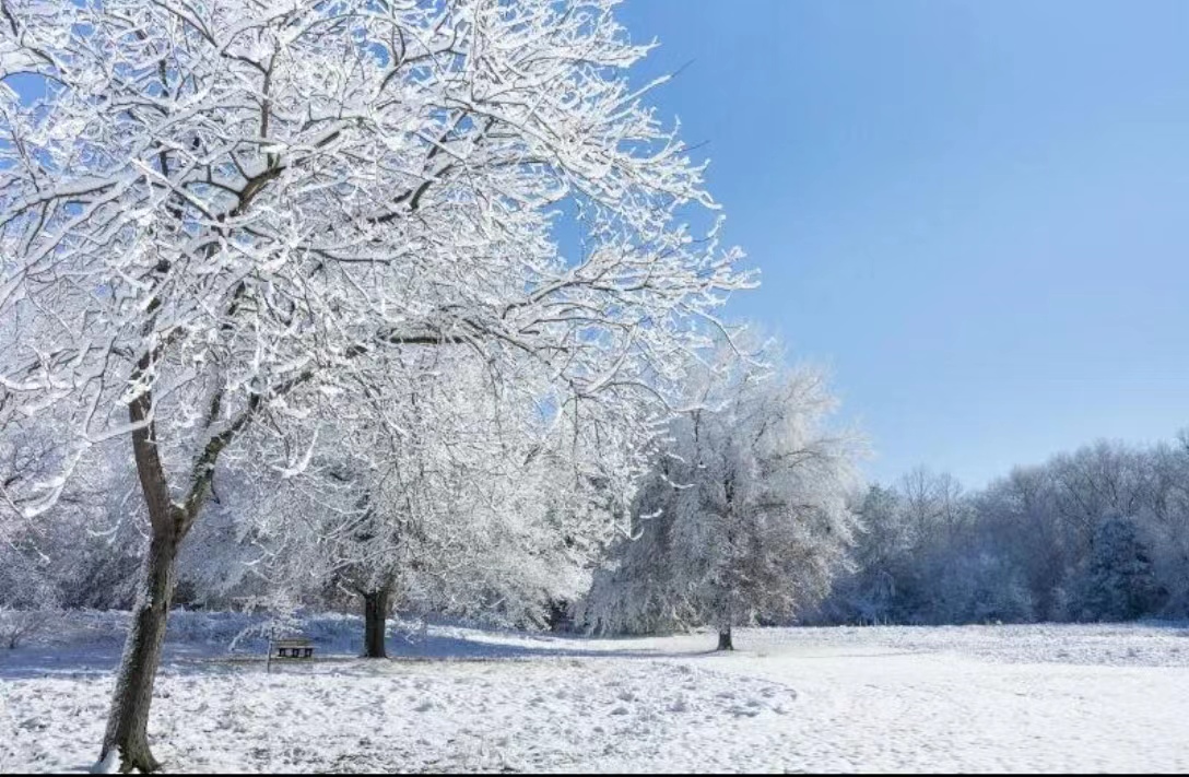 【文璞】驚蟄見春雪  （散文）