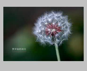 【西風(fēng)文緣】夢(mèng)開始的地方（征文散文）