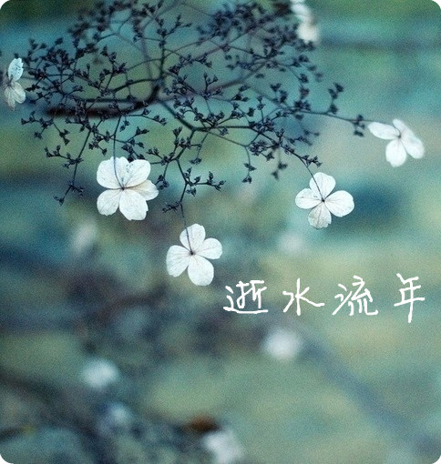 【江山·好聲音】【流年】時光書：一個江山文學(xué)社團(tuán)社長的日常（散文）