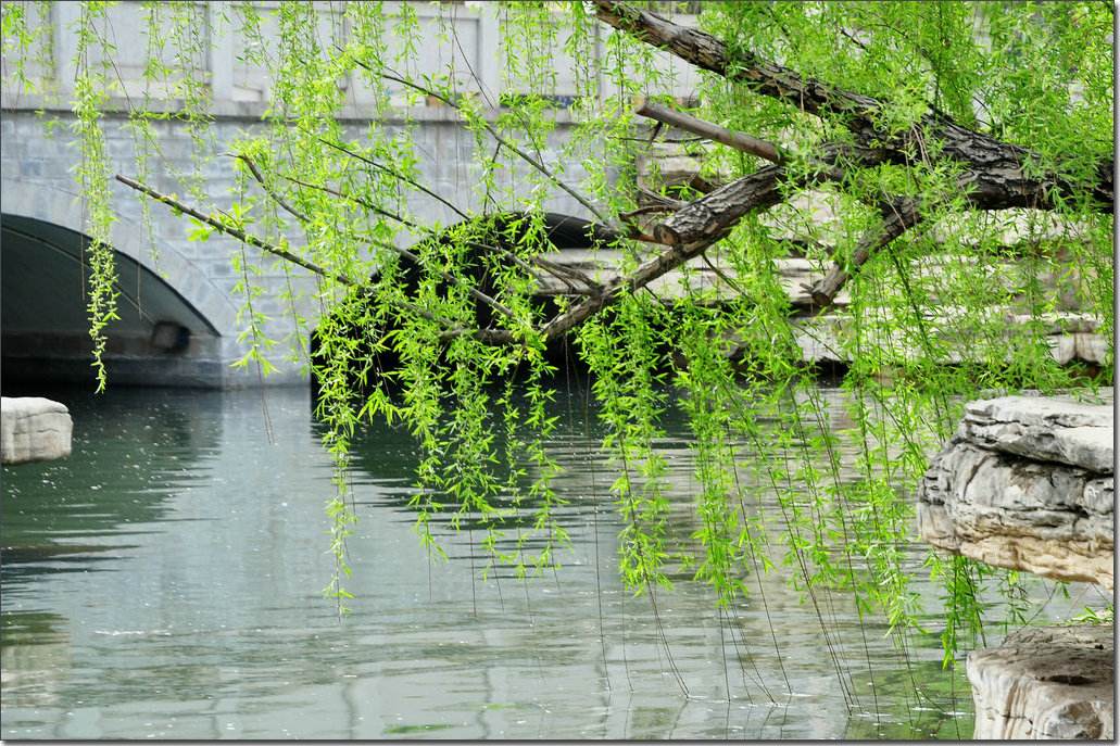 【西風(fēng)】所謂伊人，在水一方（散文）
